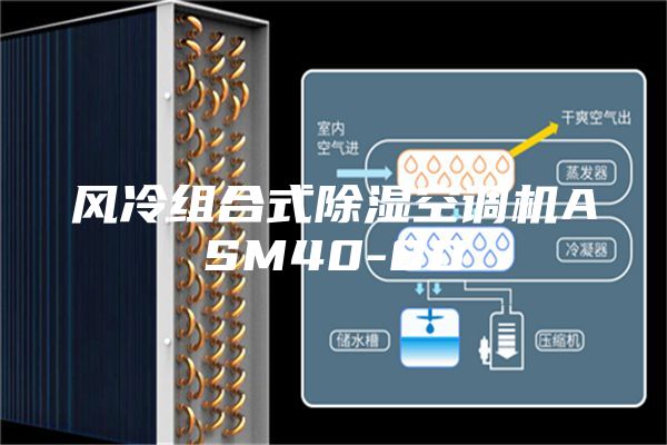 風冷組合式除濕空調機ASM40-80