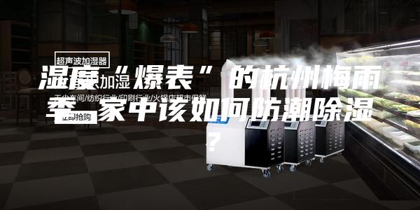 濕度“爆表”的杭州梅雨季 家中該如何防潮除濕?