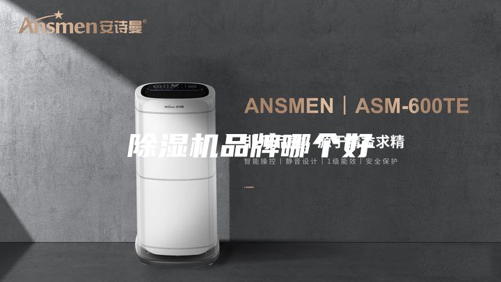 除濕機(jī)品牌哪個(gè)好