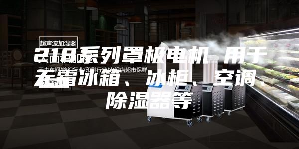218系列罩極電機(jī) 用于無霜冰箱、冰柜、空調(diào)、除濕器等
