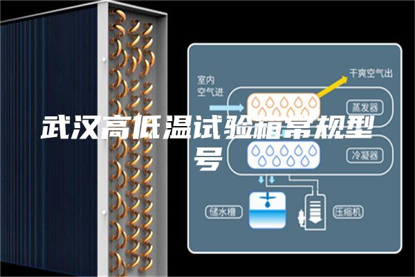 武漢高低溫試驗(yàn)箱常規(guī)型號(hào)