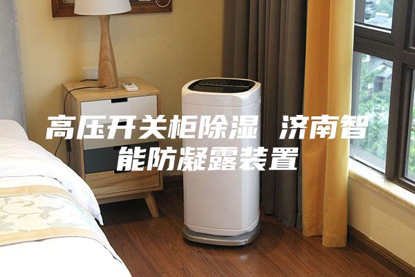 高壓開關(guān)柜除濕 濟(jì)南智能防凝露裝置