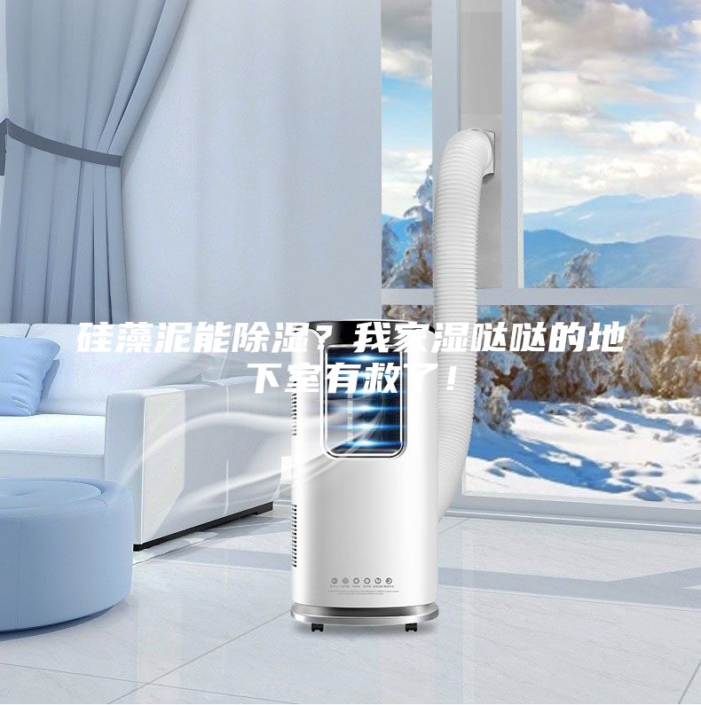 硅藻泥能除濕？我家濕噠噠的地下室有救了！